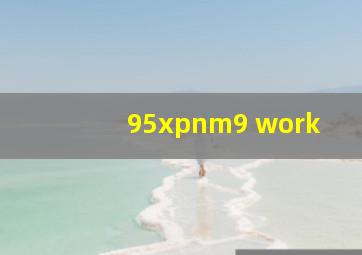 95xpnm9 work